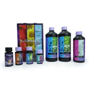 Bloombastic Box Hydro - ATAMI
