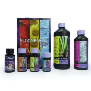 Bloombastic Box Soil - ATAMI