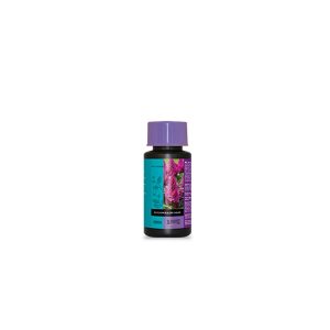 B’cuzz Blossom Builder Liquid 100ml - Booster de floraison - ATAMI