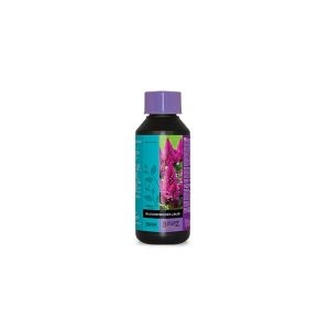 B’cuzz Blossom Builder Liquid 250ml - Booster de floraison - ATAMI
