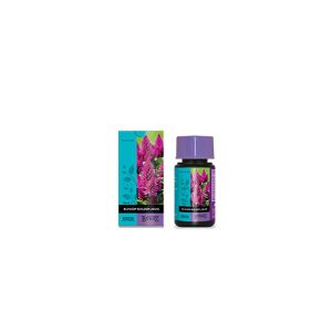 B’cuzz Blossom Builder Liquid 50ml - Booster de floraison - ATAMI