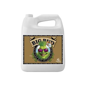 Big Bud Coco 5L - Booster de floraison - Advanced Nutrients