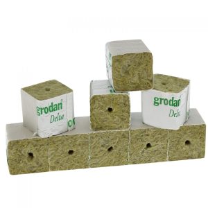 Cube de bouturage en laine de roche - 40x40x40mm - 40/40 - Grodan DELTA