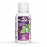 Easy Regulator 75ml - Régulateur de pH - Hydropassion