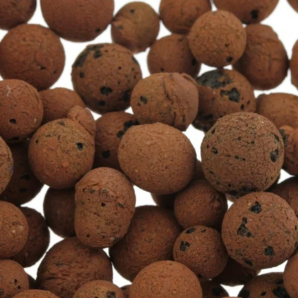 Euro Pebbles - Billes d'argile 8-16mm - Plagron