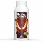 FLOWERING Stage 500ml - Engrais Master Grower - Hydropassion