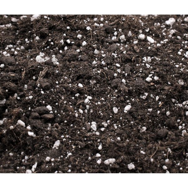 Lightmix - Terreau de croissance et de floraison - Terra - Plagron