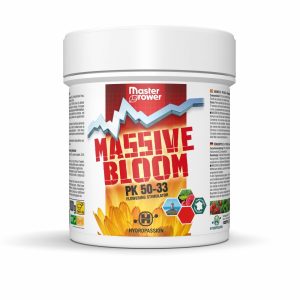 Massive Bloom 100g - Master Grower - Stimulateur de floraison - Hydropassion