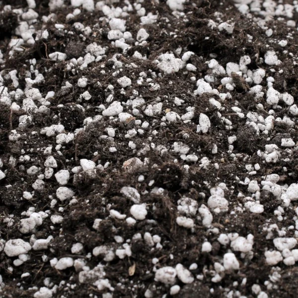 Royalmix - Terreau de croissance et de floraison - Natural - Plagron