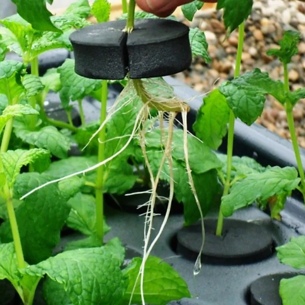 PROPAGATOR X-Stream Nutriculture