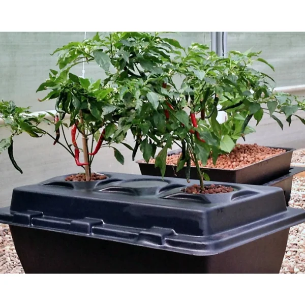 Système DWC OxyPot XL - Nutriculture